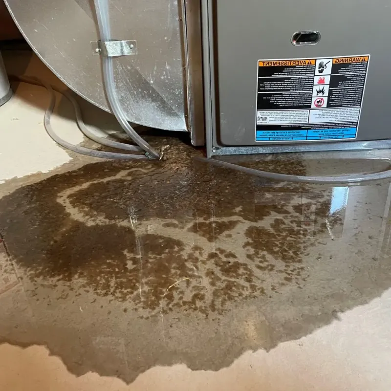 Pipe Burst and Leak Restoration in Old Saybrook Center, CT